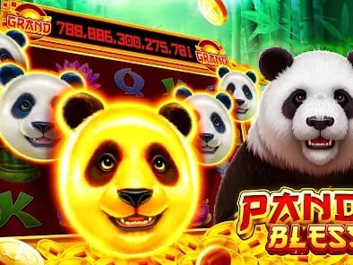 Live Dealer Tables Interface